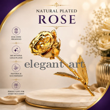Natural Plated Rose