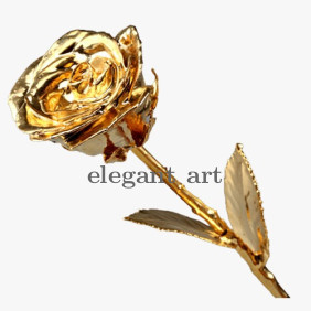 Gold Rose