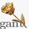 Gold Rose